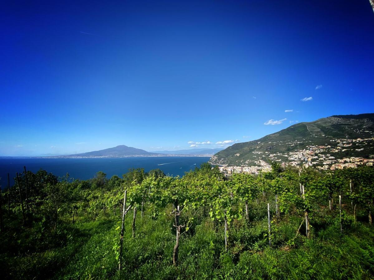 Willa La Badia Montechiaro - Breathtaking View Of Sorrento Coast Vico Equense Zewnętrze zdjęcie